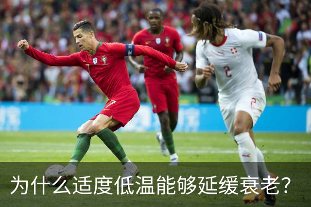 为什么适度低温能够延缓衰老？